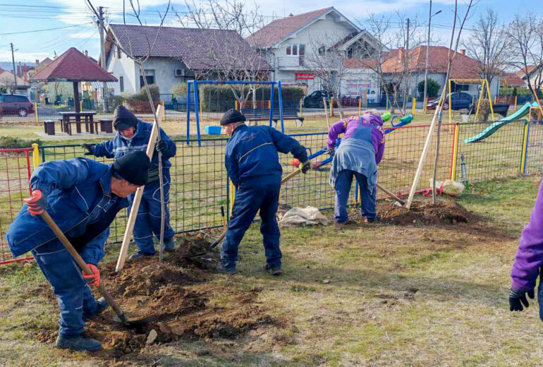 Ozelenjavanje u tvrđavi Fetislam i kod Simpa