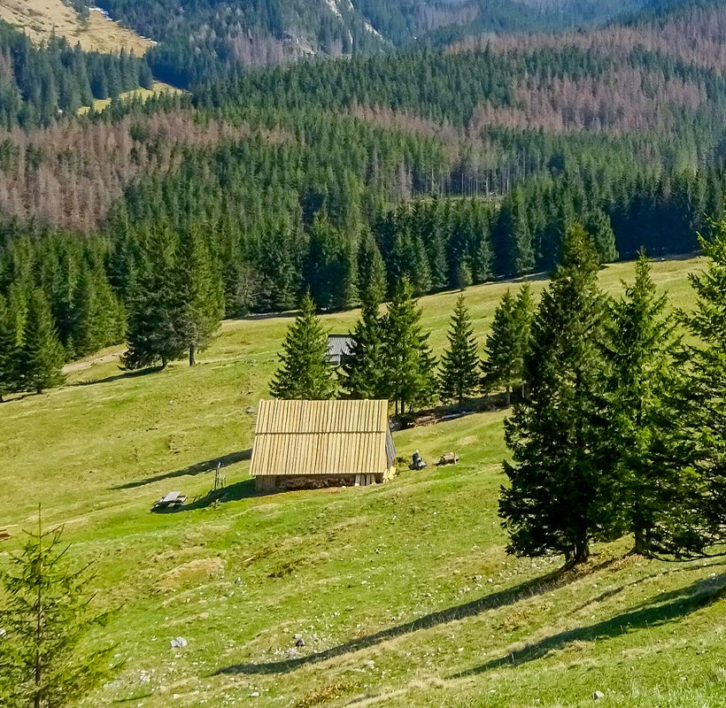 планина