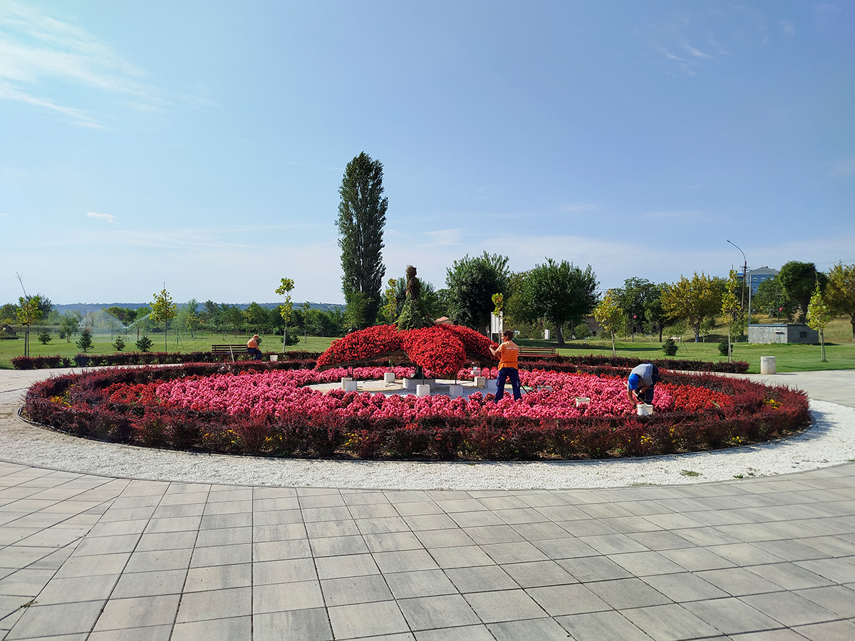 Нове саднице