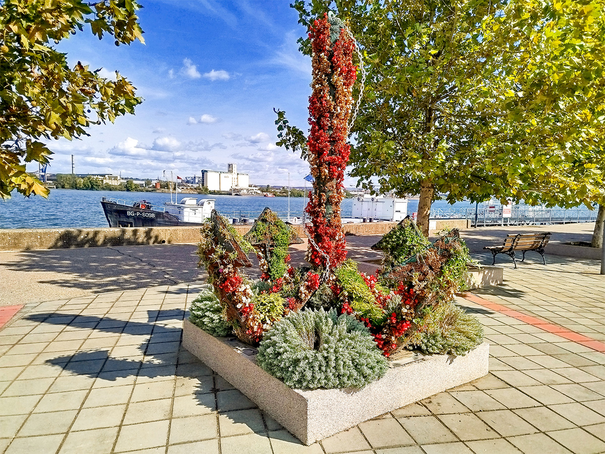 Нове саднице