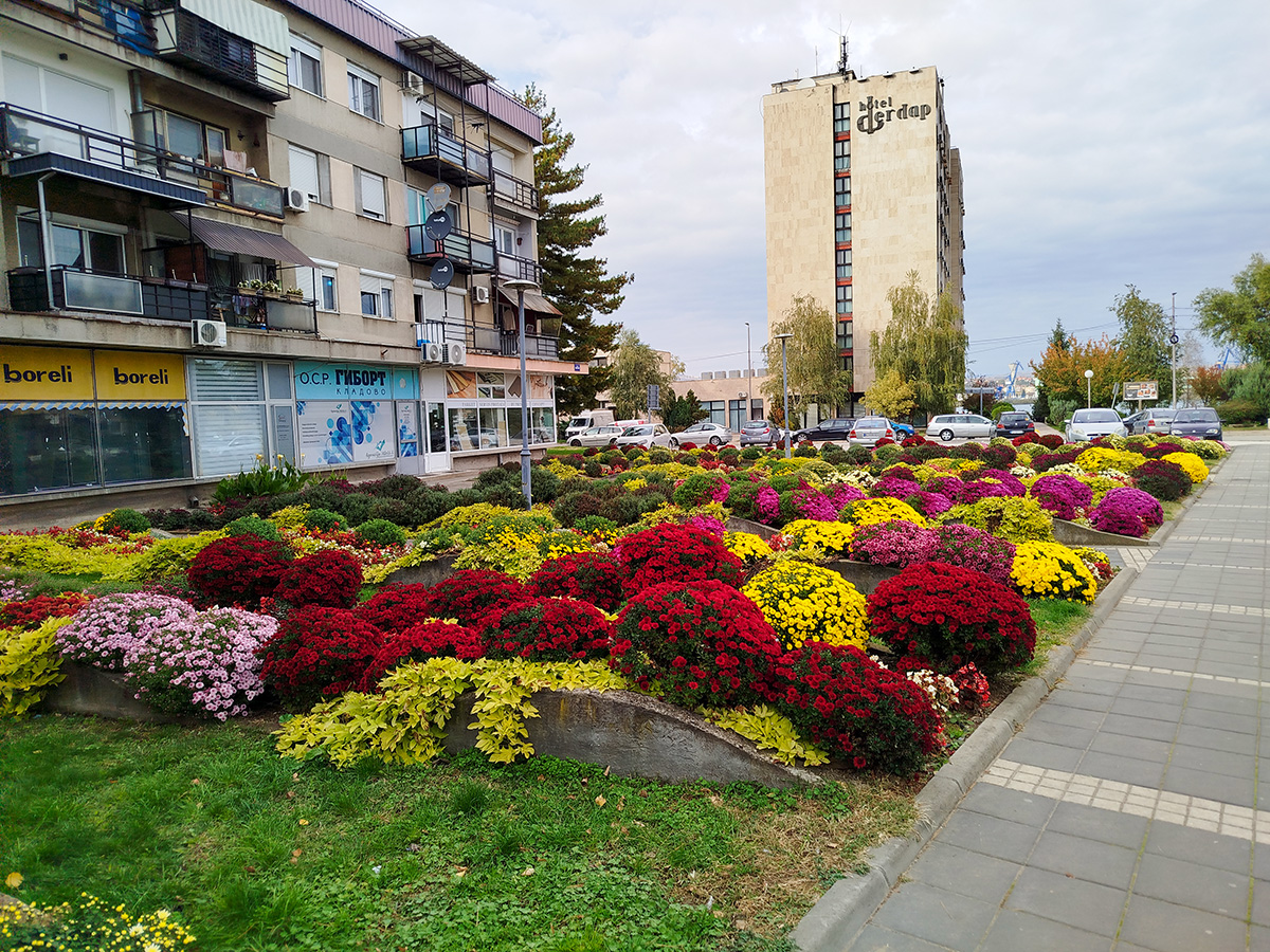 Нове саднице