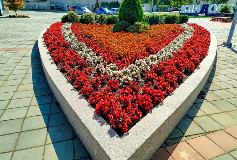 Нове саднице