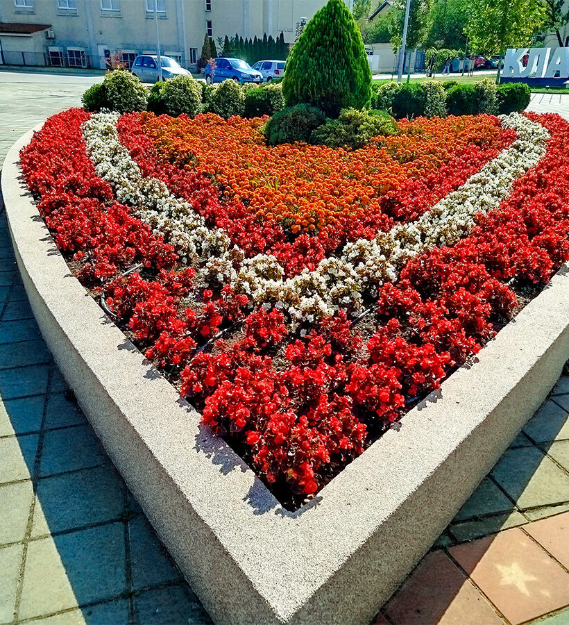 Нове саднице