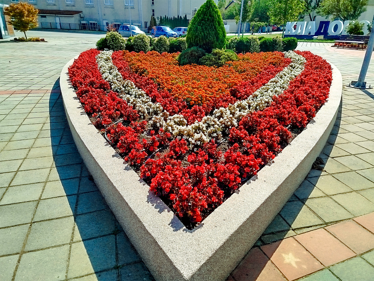 Нове саднице