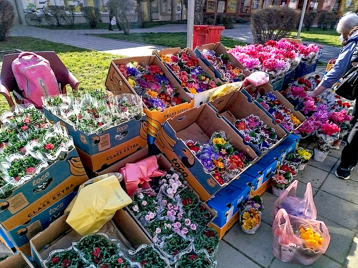 Осмомартовска атмосфера 2026.